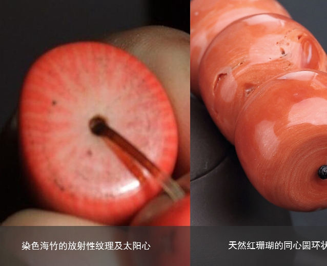 紅珊瑚真假鑒別——如何區分染色海竹和天然紅