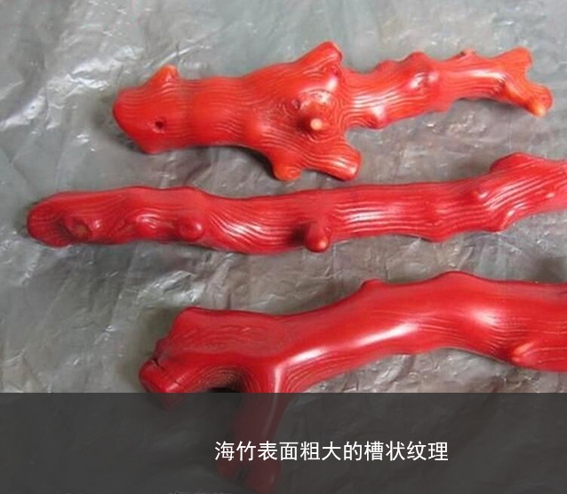 紅珊瑚真假鑒別——如何區分染色海竹和天然紅