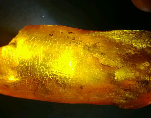 真正的天然琥珀圖片欣賞，琥珀是什么？ -蜜蠟琥