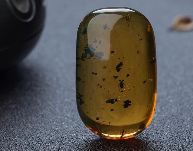 琥珀的形成過程是怎樣的？琥珀如何形成的？