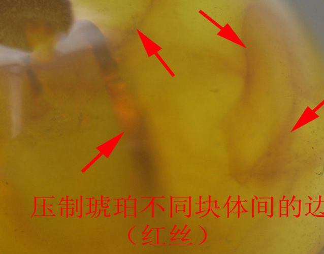 琥珀怎么分辨真假？壓制琥珀的鑒別方法 -蜜蠟琥