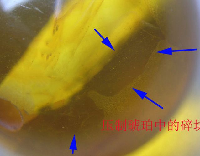 琥珀怎么分辨真假？壓制琥珀的鑒別方法 -蜜蠟琥