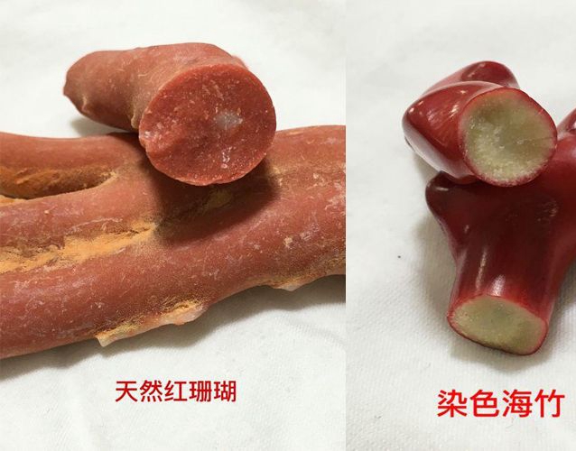怎樣鑒別紅珊瑚的真假？真假紅珊瑚鑒別 -紅珊瑚