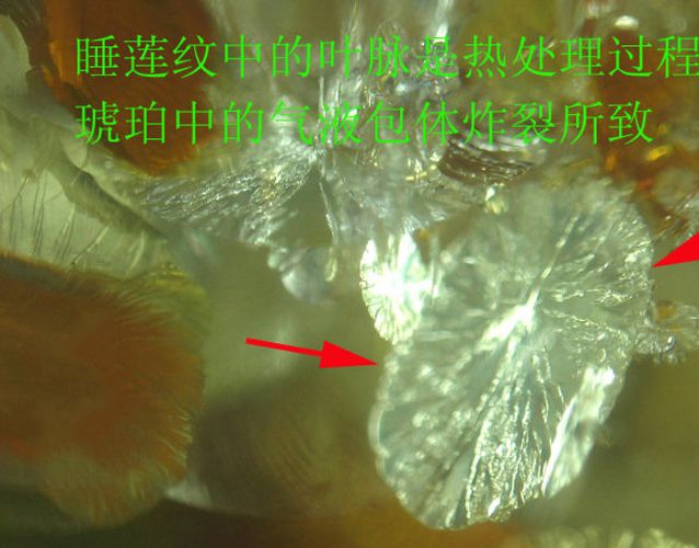 琥珀鑒別真假之熱處理琥珀的鑒別 -蜜蠟琥珀