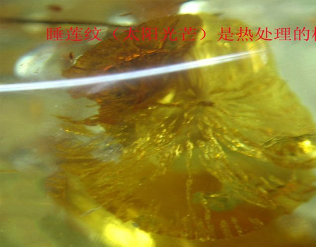 琥珀鑒別真假之熱處理琥珀的鑒別 -蜜蠟琥珀