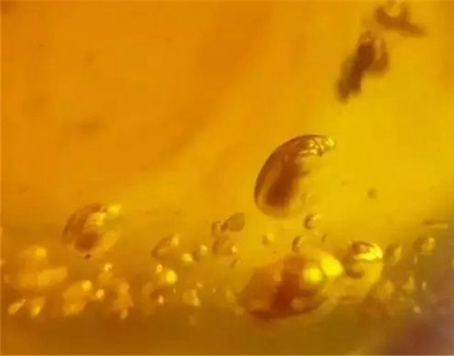 蜜蠟怎樣鑒別？蜜蠟鑒別妙招 -蜜蠟琥珀
