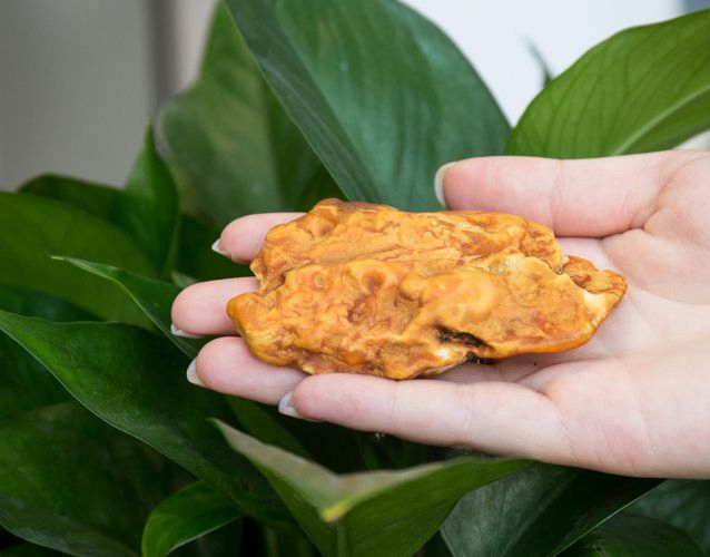 俄料蜜蠟是什么意思？蜜蠟俄料和烏料的區別