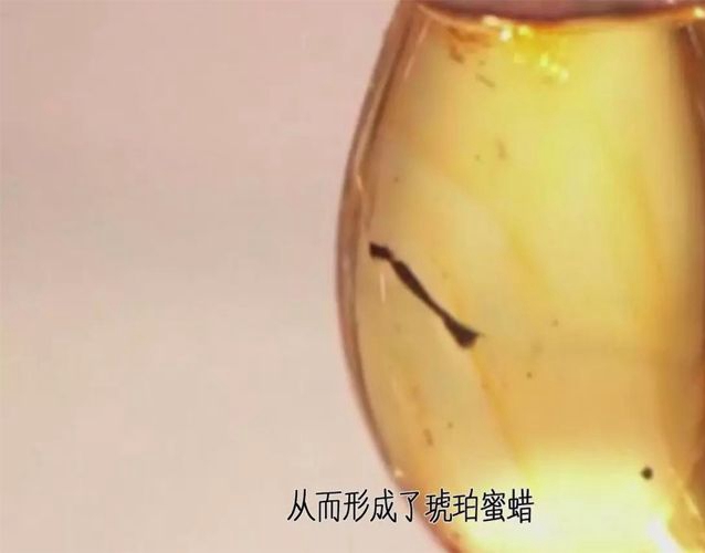 蜜蠟是什么材質？蜜蠟是怎么形成的？ -蜜蠟琥珀