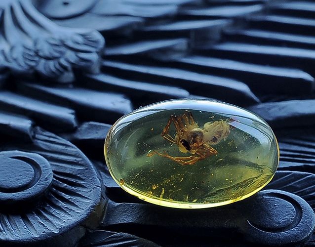 蜜蠟琥珀區別是什么？琥珀和蜜蠟哪個值錢？