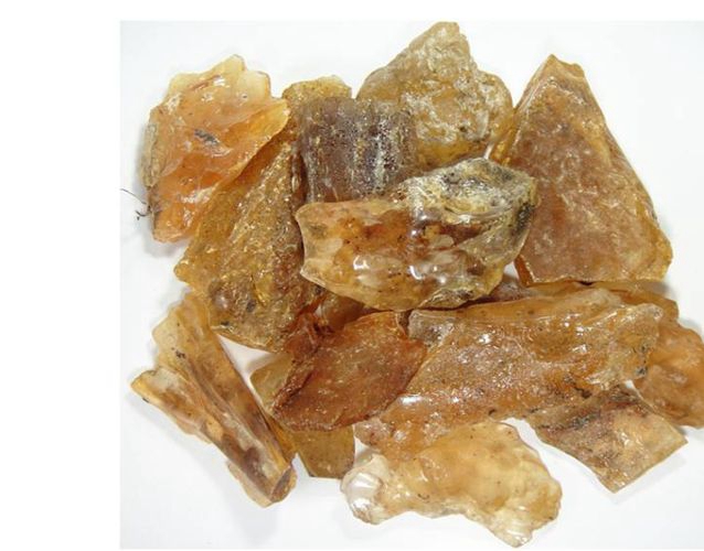 假蜜蠟有哪些？柯巴樹脂和蜜蠟的區別是什么？