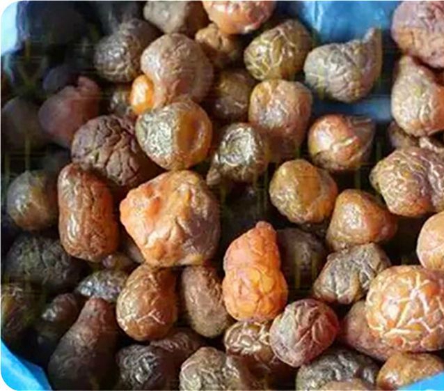 假蜜蠟有哪些？柯巴樹脂和蜜蠟的區別是什么？