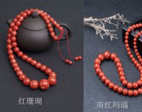 怎樣鑒別紅珊瑚和南紅瑪瑙？ -紅珊瑚