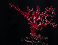 紅珊瑚項鏈這樣戴，真的好看又有氣質！ -紅珊瑚