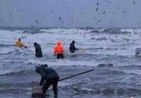什么是海漂蜜蠟？海漂蜜蠟有什么特點？ -蜜蠟琥