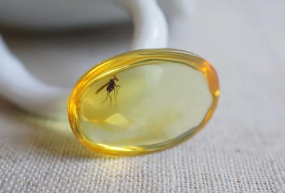 琥珀蜜蠟的區別？琥珀的種類圖片大全