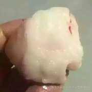 為什么有的羊脂玉幾百元，有的羊脂玉幾十萬？