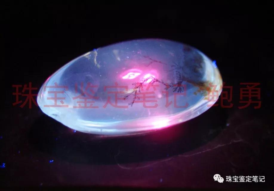 風景水草花“水晶”的秘密