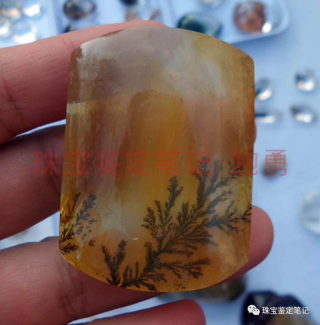 風景水草花“水晶”的秘密