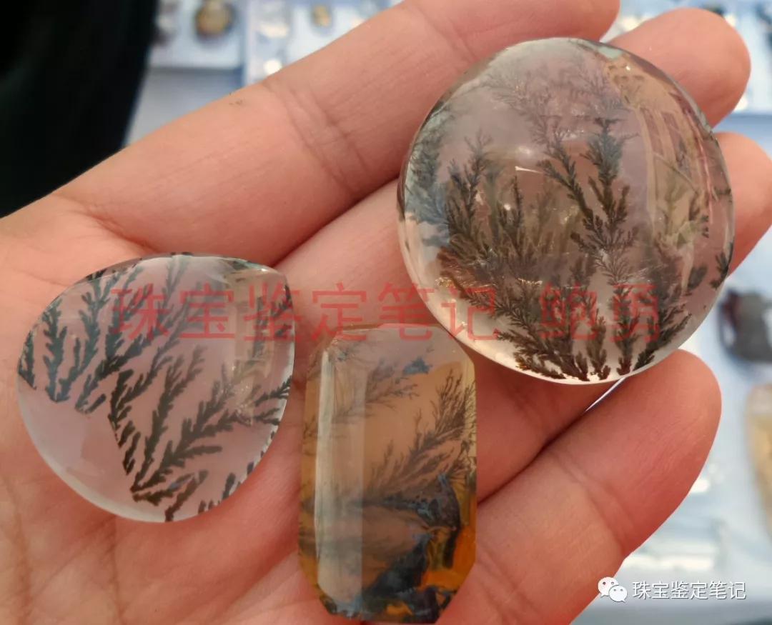 風景水草花“水晶”的秘密