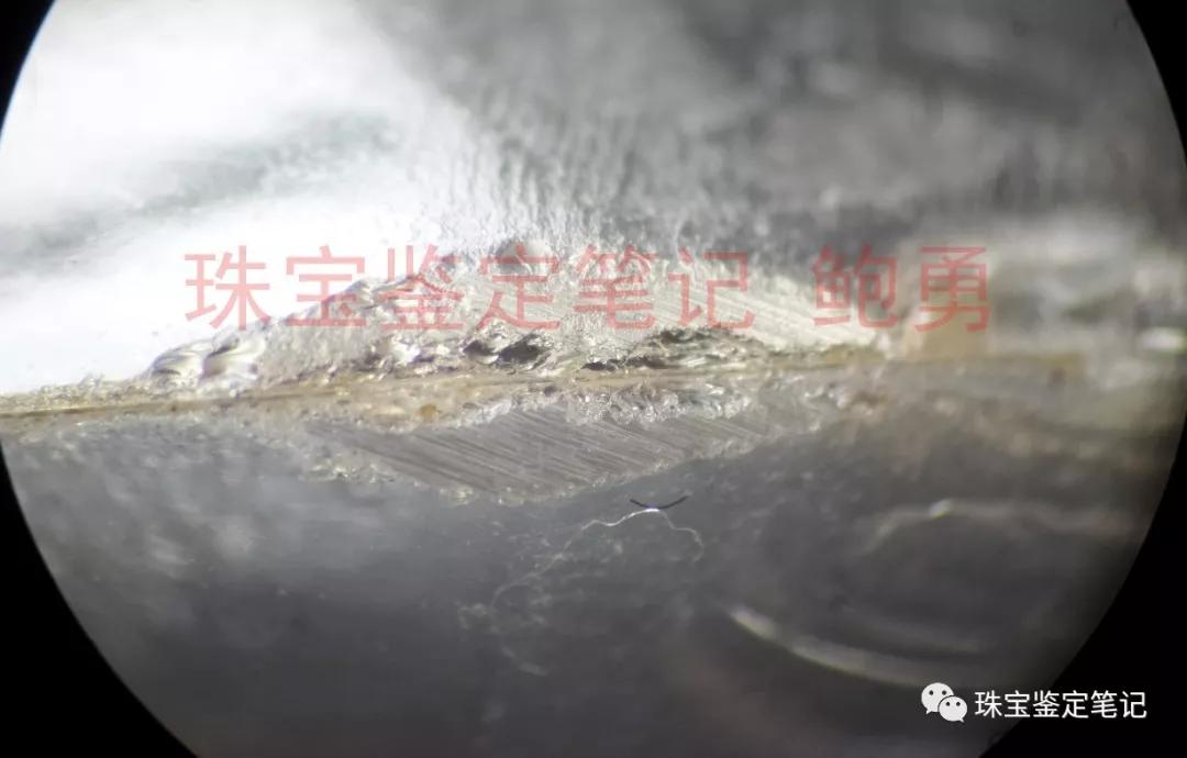 風景水草花“水晶”的秘密