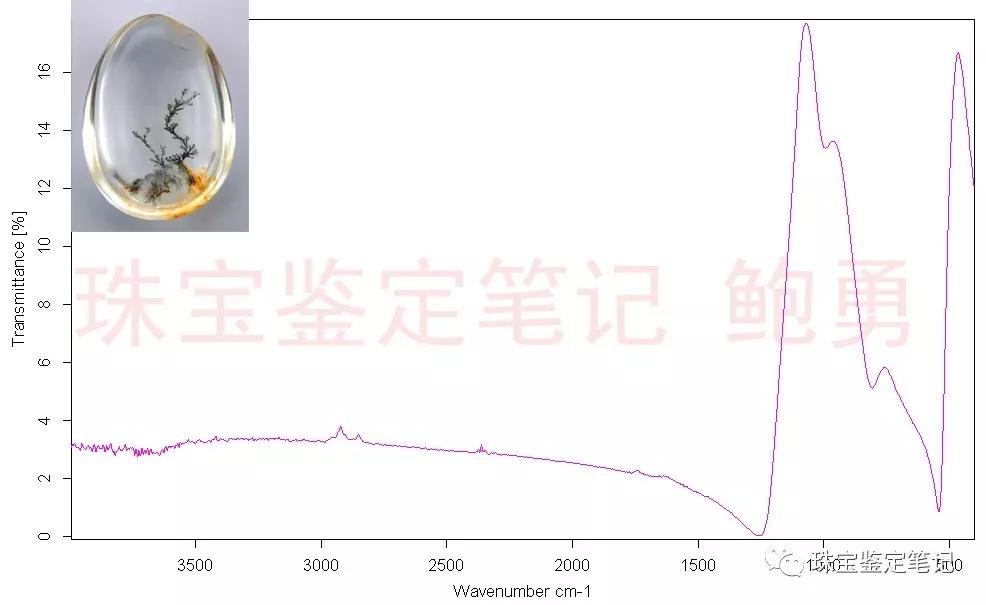 風景水草花“水晶”的秘密