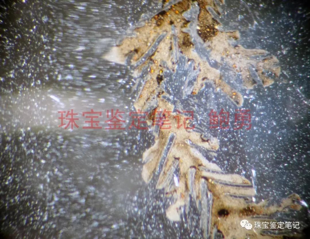 風景水草花“水晶”的秘密