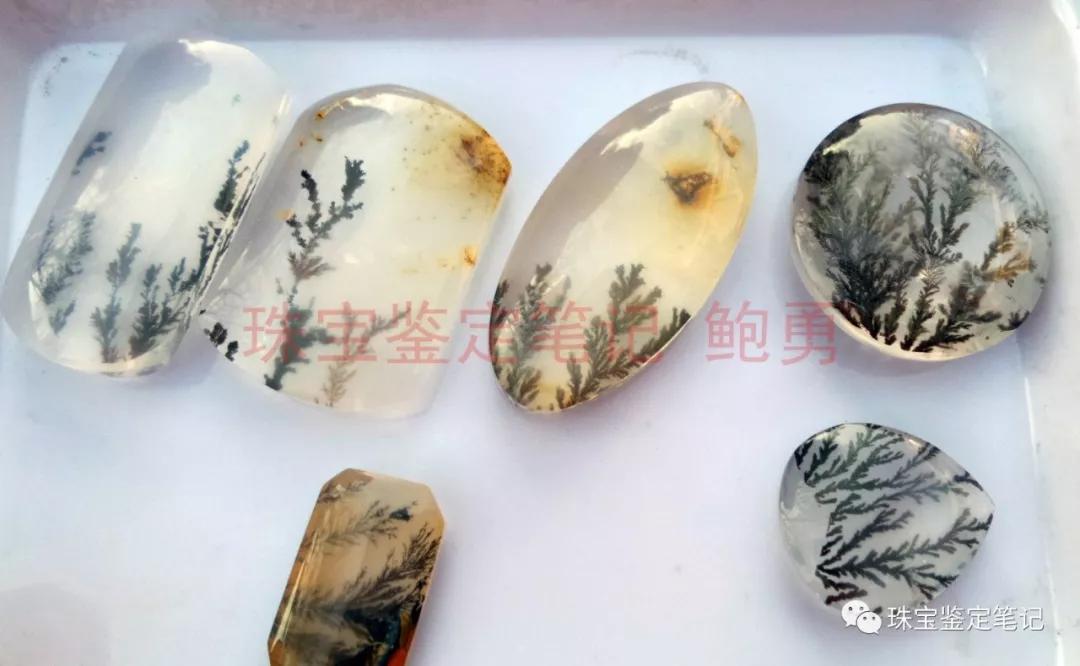 風景水草花“水晶”的秘密