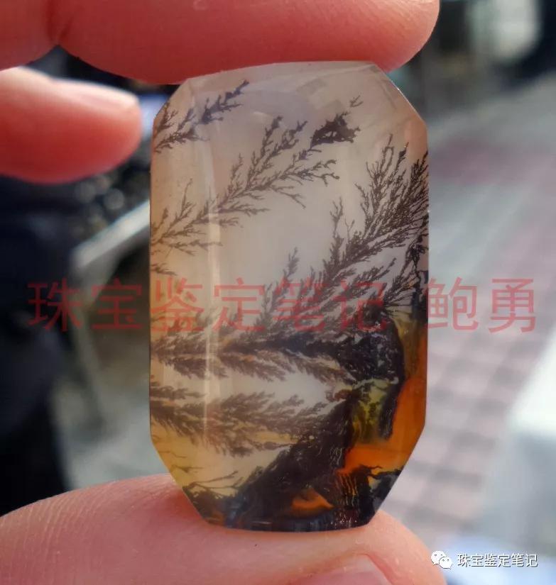 風景水草花“水晶”的秘密