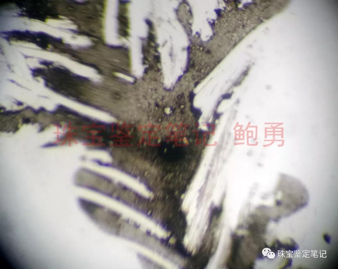 風景水草花“水晶”的秘密