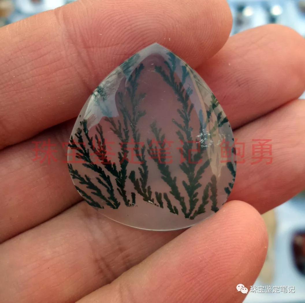 風景水草花“水晶”的秘密