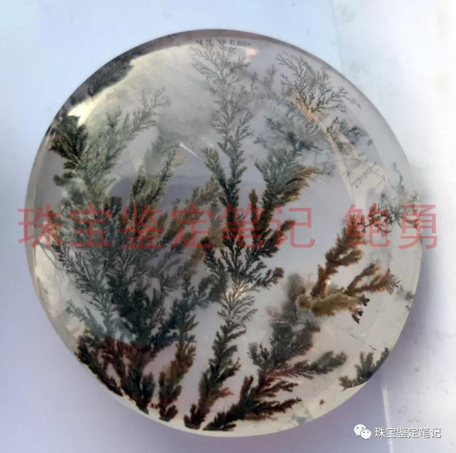 風景水草花“水晶”的秘密
