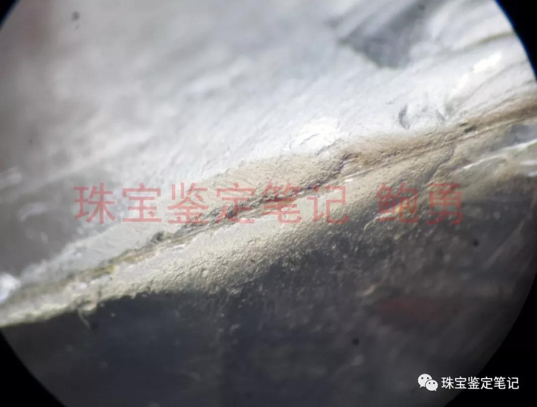 風景水草花“水晶”的秘密