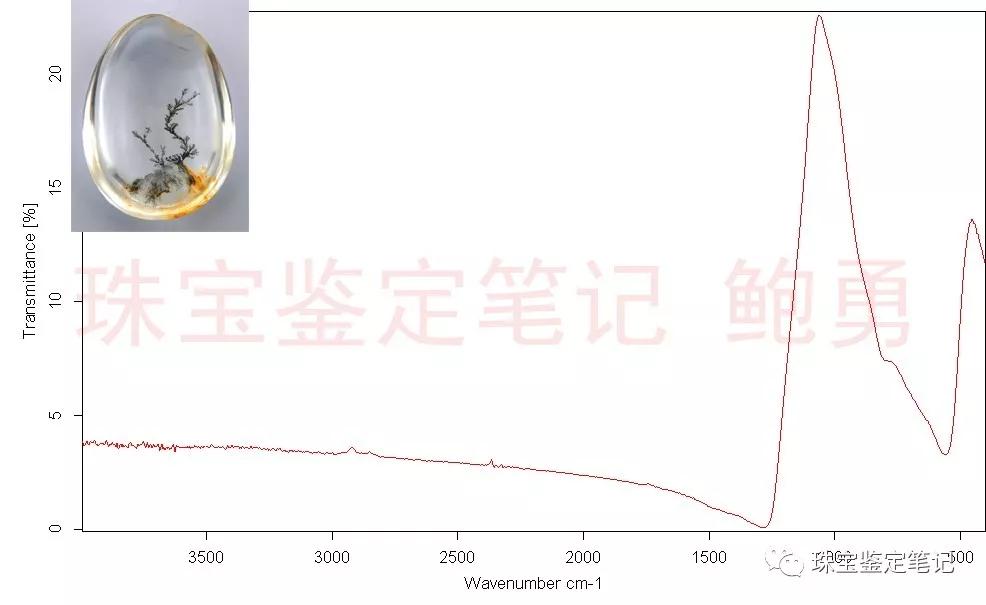 風景水草花“水晶”的秘密