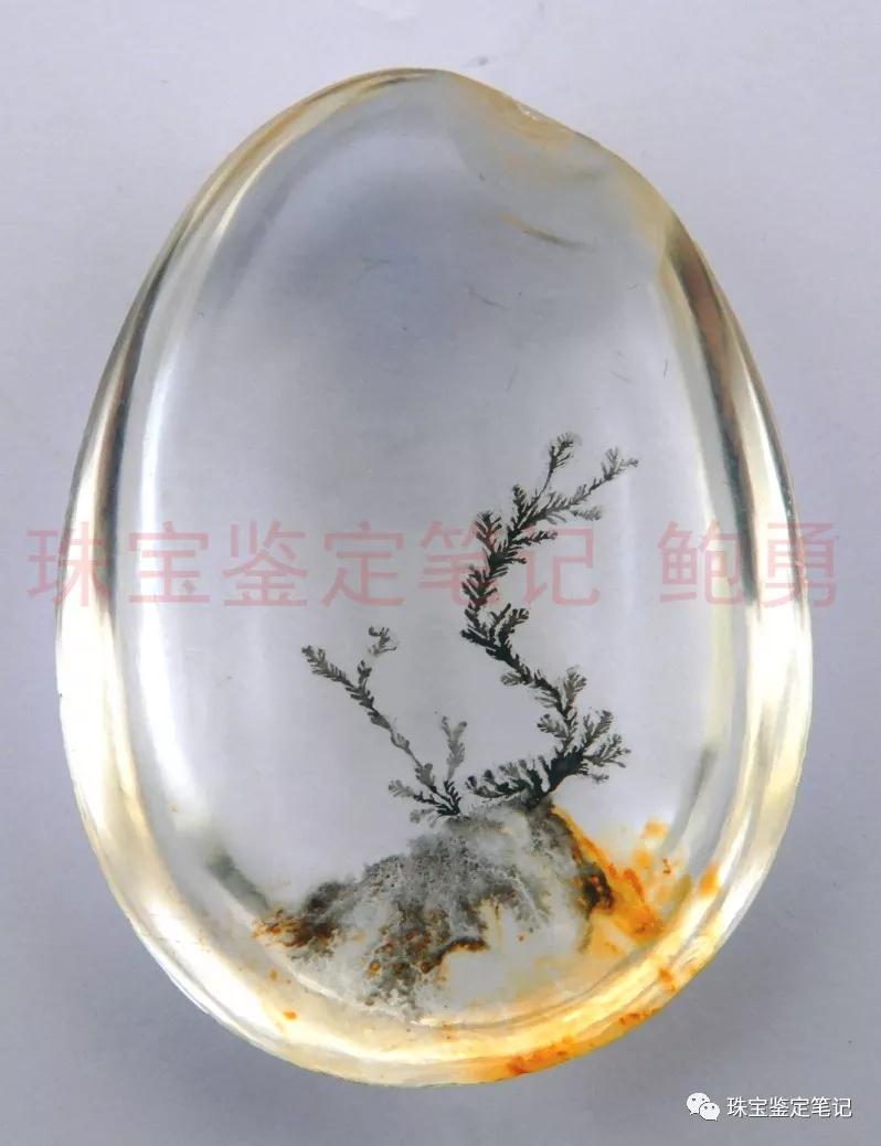 風景水草花“水晶”的秘密