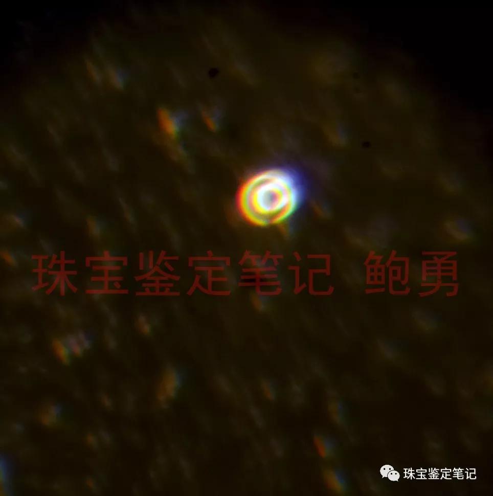風景水草花“水晶”的秘密