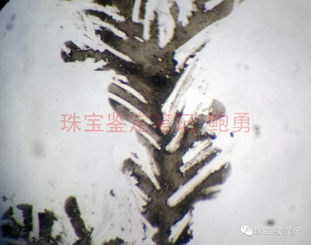 風景水草花“水晶”的秘密