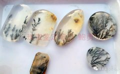 風景水草花“水晶”的秘密