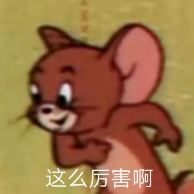 翡翠先看種還是色？錯啦，當然是先看底子。