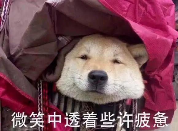 翡翠先看種還是色？錯啦，當然是先看底子。