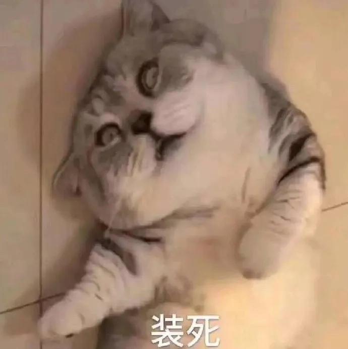 翡翠直播騙子陷阱太多，刑法典都不夠用