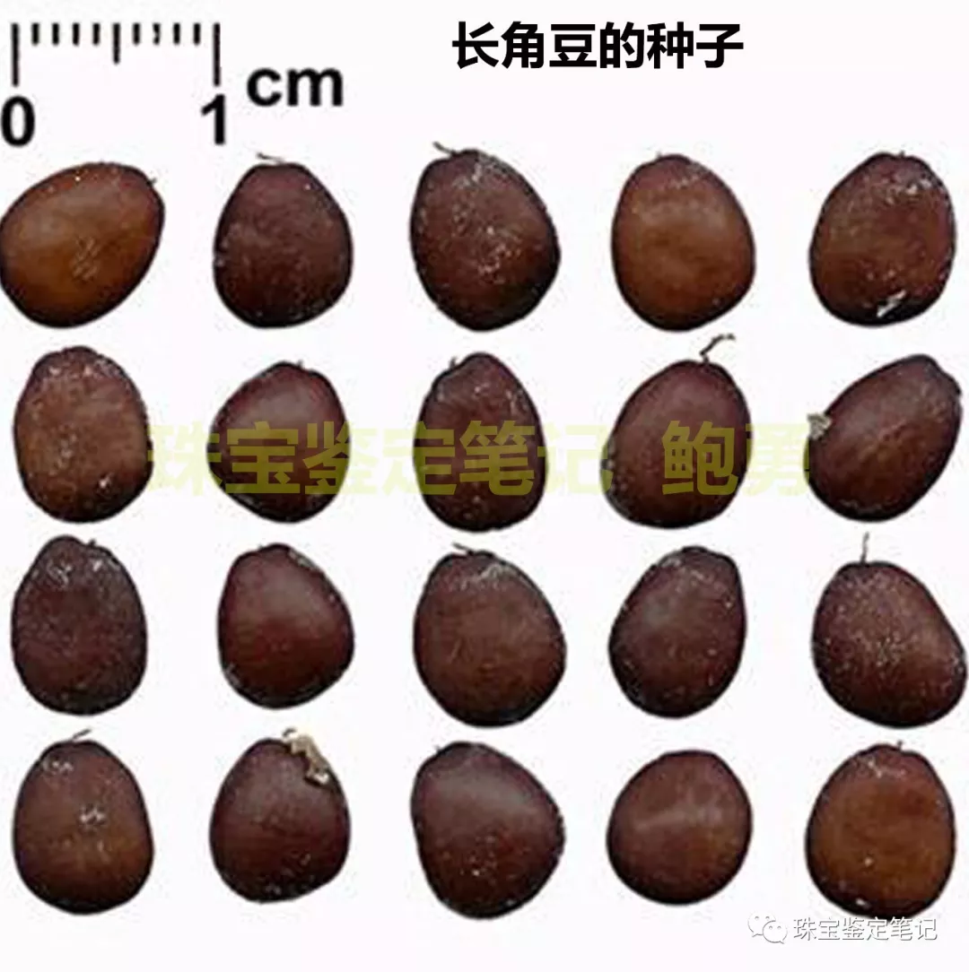 鉆石4C分級另類解讀之一：克拉 (carat) 是一粒豆