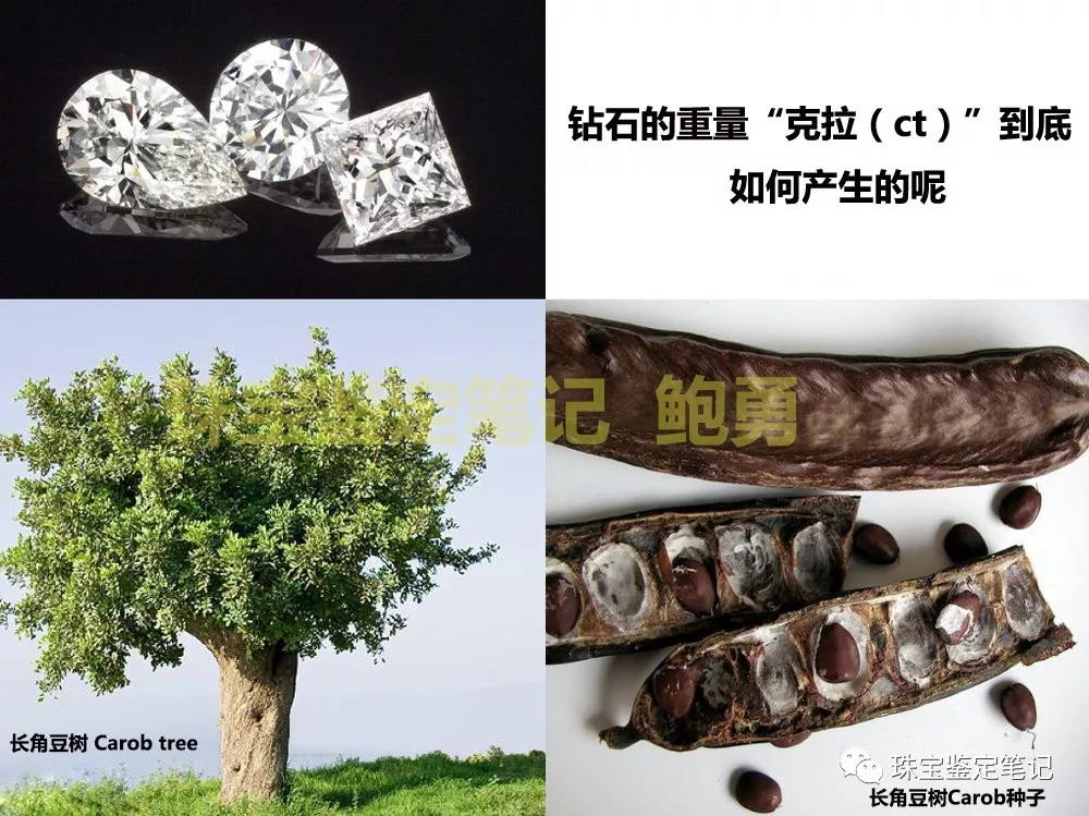 鉆石4C分級另類解讀之一：克拉 (carat) 是一粒豆