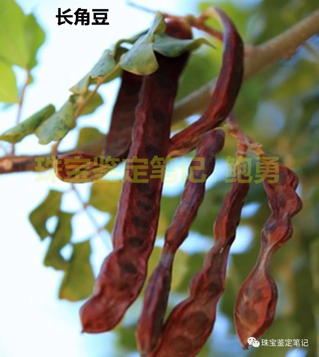 鉆石4C分級另類解讀之一：克拉 (carat) 是一粒豆