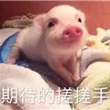 圓鉆vs異形鉆，誰更能俘獲女明星的心？