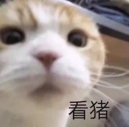 最頂級的“A色凈水鉆”，你以為有錢就能買到？